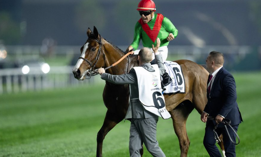 Hero Turf || Le Duo Hero Turf || Petit Hero Turf